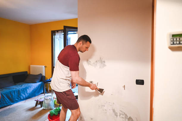 Best Professional Mold Removal  in Logansport, IN