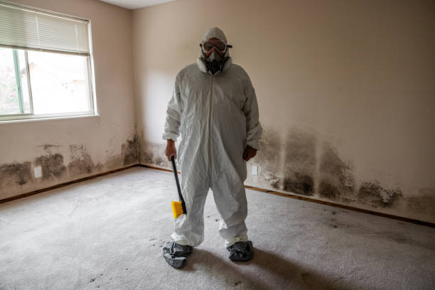 Crawl Space Mold Removal in Logansport, IN